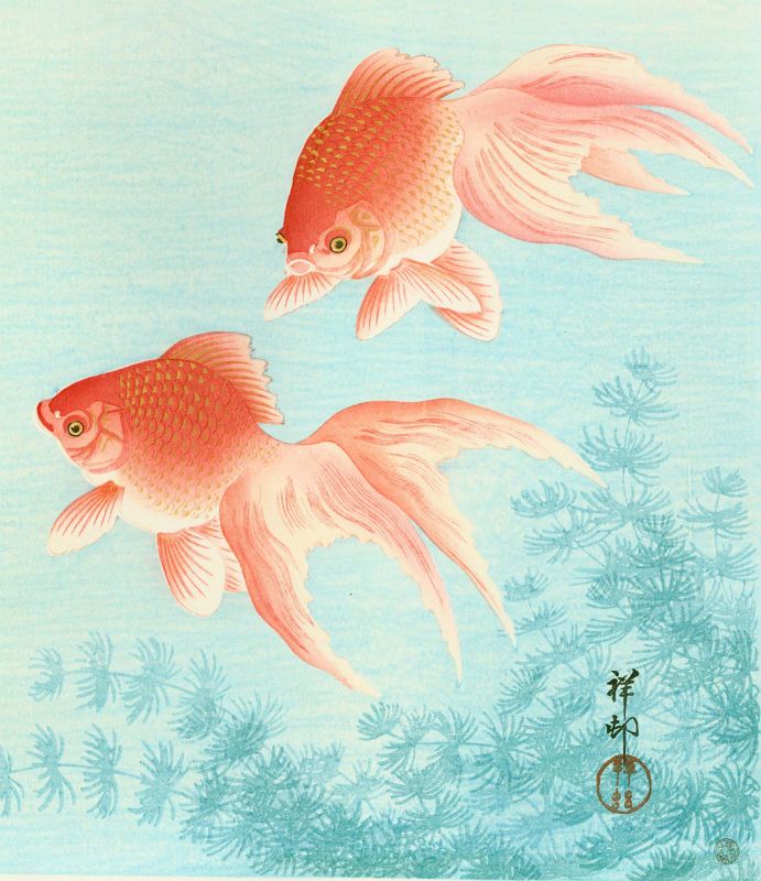 Ohara Koson (Shoson) Japanese Woodblock Print - Two Goldfish SOLD
