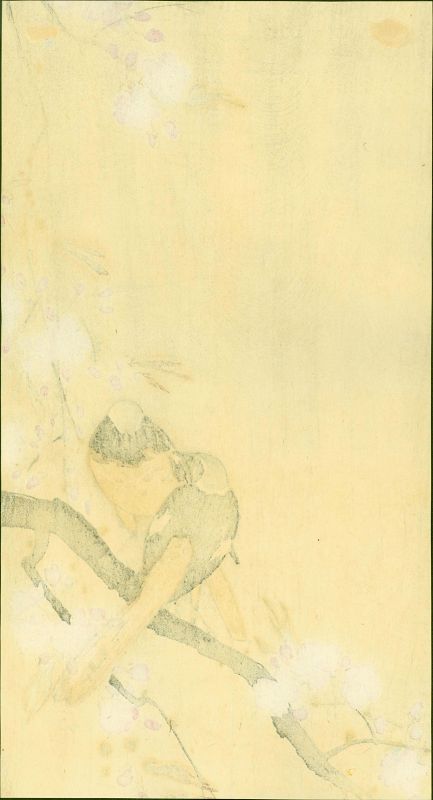 Ohara Koson Japanese Woodblock Print - Redstarts on Cherry Branch 1910