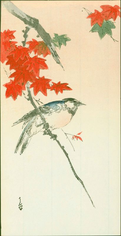 Yoshimoto Gesso Woodblock Print - Blue Bird on Maple Branch SOLD