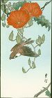 Yoshimoto Gesso Japanese Woodblock Print - Sparrow and Red Flower