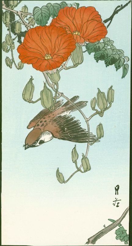 Yoshimoto Gesso Japanese Woodblock Print - Sparrow and Red Flower