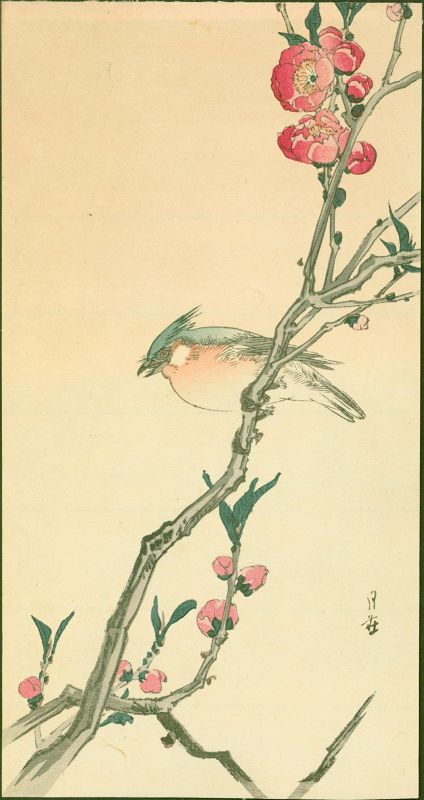 Yoshimoto Gesso Japanese Woodblock Print - Blue Bird on Plum Branch