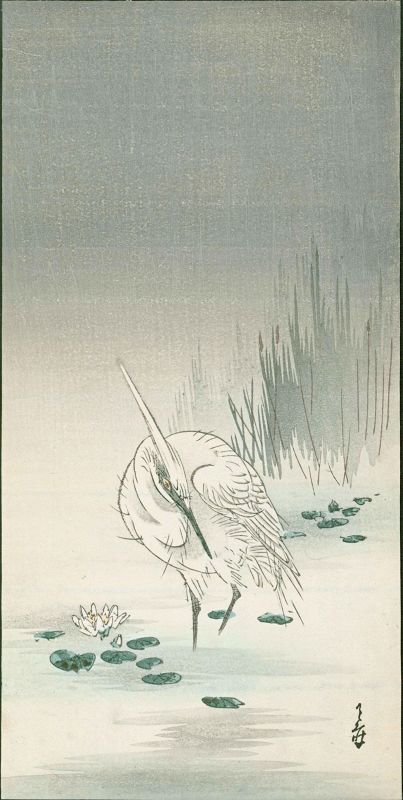 Yoshimoto Gesso Japanese Woodblock Print - Egret and Water Lilies