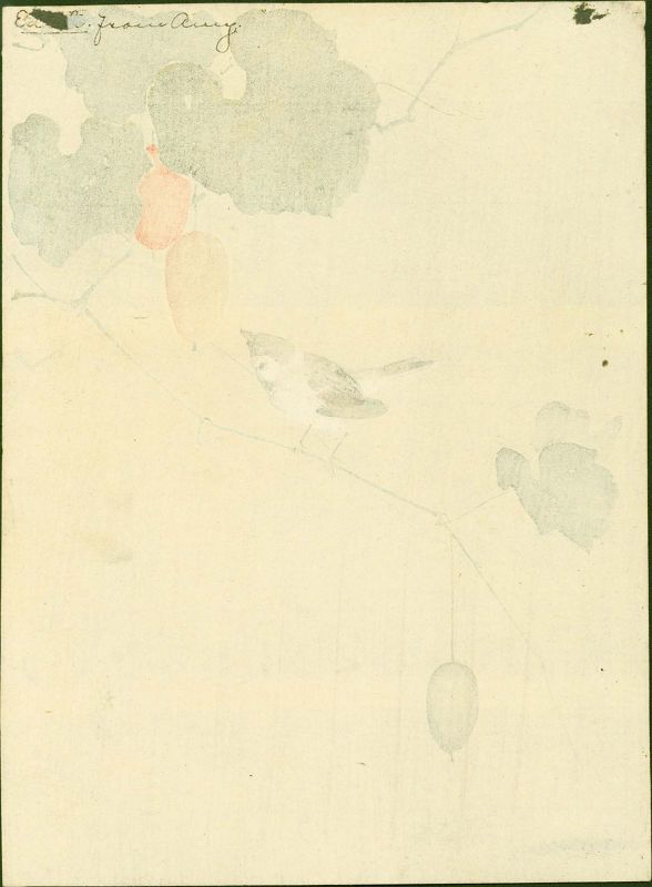 Ohara Koson Woodblock Print - Sparrow on Vine of Wild Melon- 1910 RARE