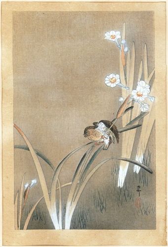 Ohara Koson Bird and Flowers Etching - Rare Unknown SOLD