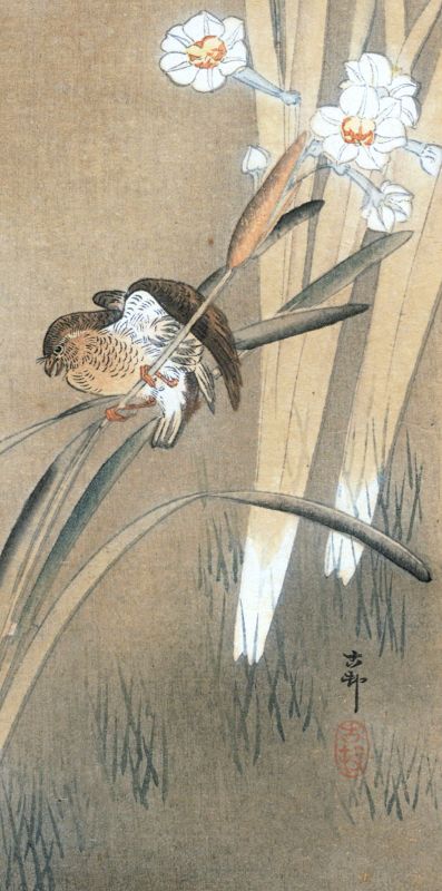 Ohara Koson Bird and Flowers Etching - Rare Unknown