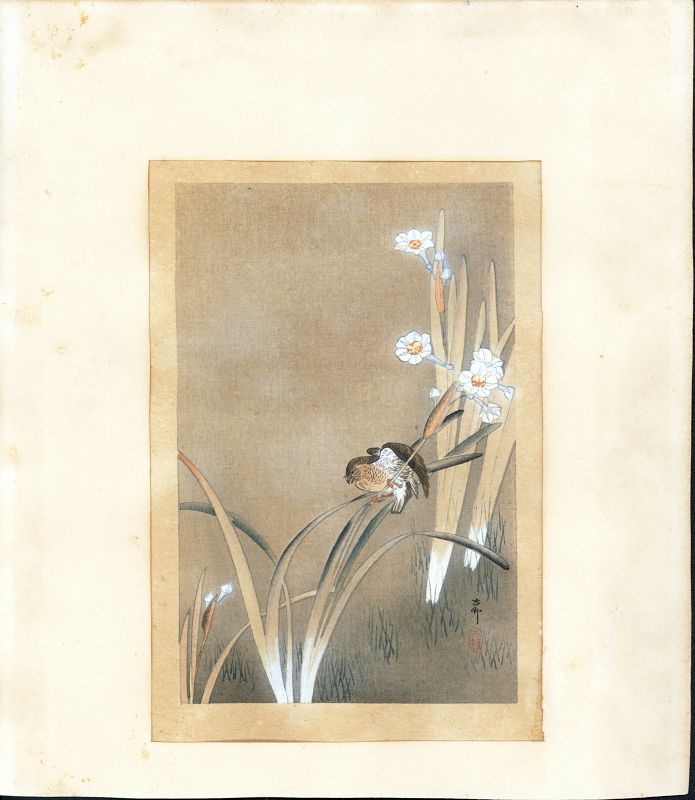 Ohara Koson Bird and Flowers Etching - Rare Unknown