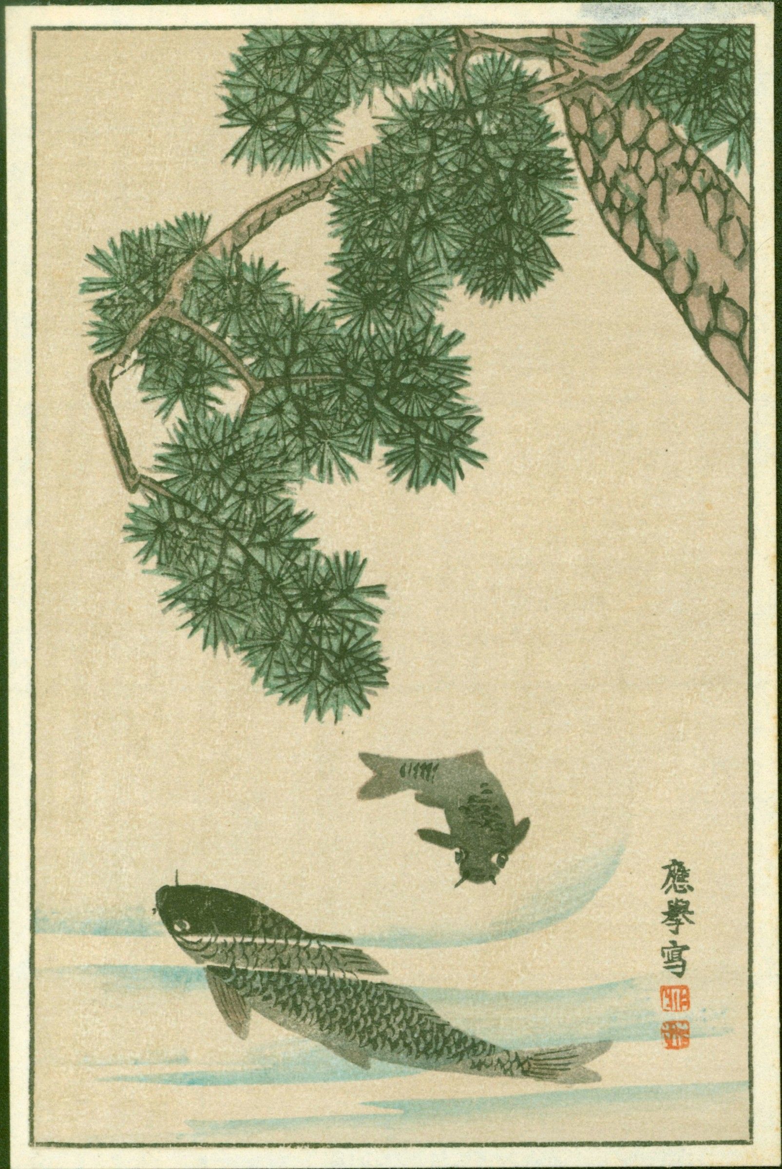 After Maruyama Okyo - Japanese Woodblock Print - Carp and Pine