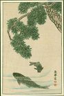 After Maruyama Okyo - Japanese Woodblock Print - Carp and Pine