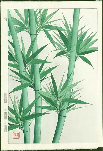 Shodo Kawarazaki Japanese Woodblock Print - Bamboo