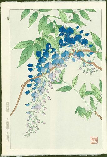 Shodo Kawarazaki Japanese Woodblock Print - Wisteria SOLD