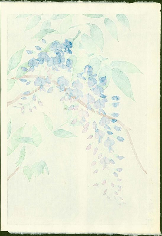 Shodo Kawarazaki Japanese Woodblock Print - Wisteria