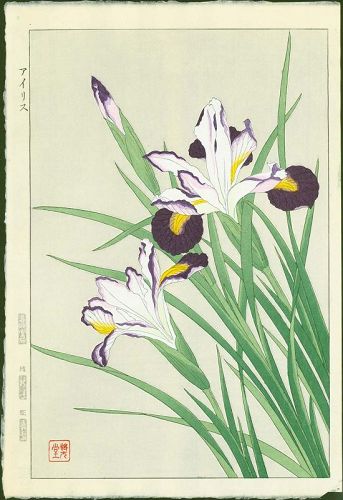 Shodo Kawarazaki Japanese Woodblock Print - Iris
