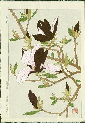 Shodo Kawarazaki Japanese Woodblock Print - Magnolia SOLD