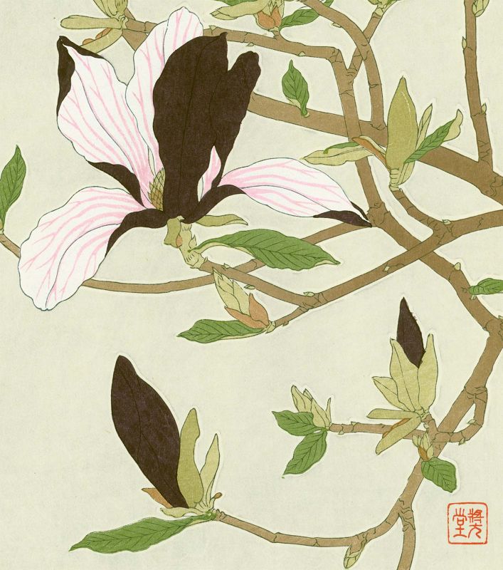 Shodo Kawarazaki Japanese Woodblock Print - Magnolia SOLD