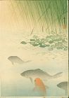 Arai Yoshimune Woodblock Print - Carp in a Pond - 1910 RARE SOLD