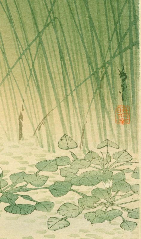 Arai Yoshimune Japanese Woodblock Print - Carp in a Pond - 1910 RARE
