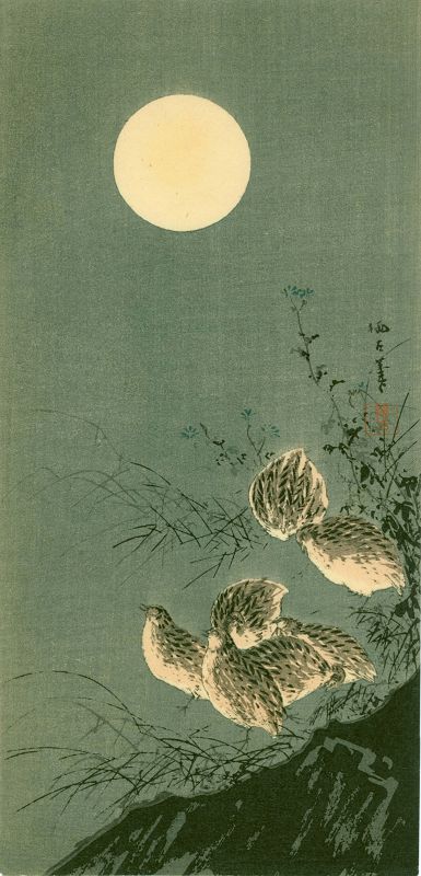 Aoki Seiko Japanese Woodblock Print - Quails Under the Moonlight 1910