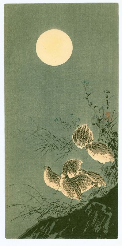 Aoki Seiko Japanese Woodblock Print - Quails Under the Moonlight 1910