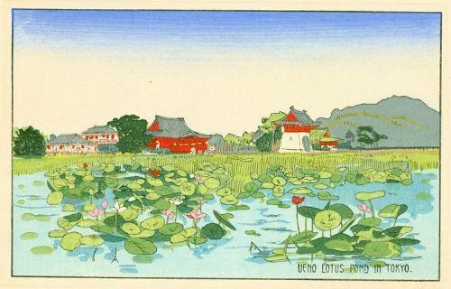 Japanese Woodblock Print - Ueno Lotus Pond in Tokyo