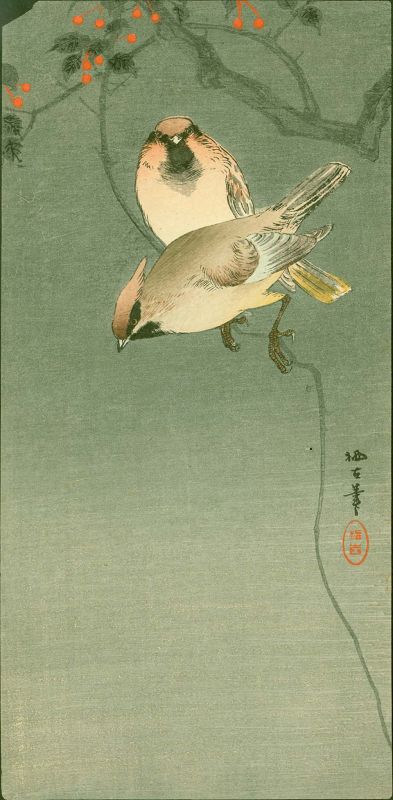 Aoki Seiko Japanese Woodblock Print - Waxwings - 1910 SOLD