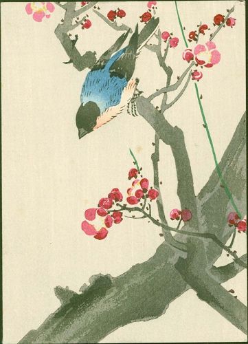 Ohara Koson Woodblock Print - Bullfinch and Plum - 1940 Menu Cover