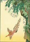 Imanaka Soyu Japanese Woodblock Print - Pheasant - Ship's Menu 1936