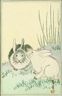 Nishimura Hodo Japanese Woodblock Print - Rabbits in Grass 1930s