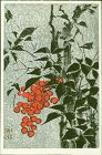 Ide Gakusui Japanese Woodblock Print - Berries
