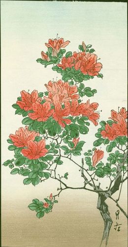 Yoshimoto Gesso Japanese Woodblock Print - Flowering Branch (Azalea)