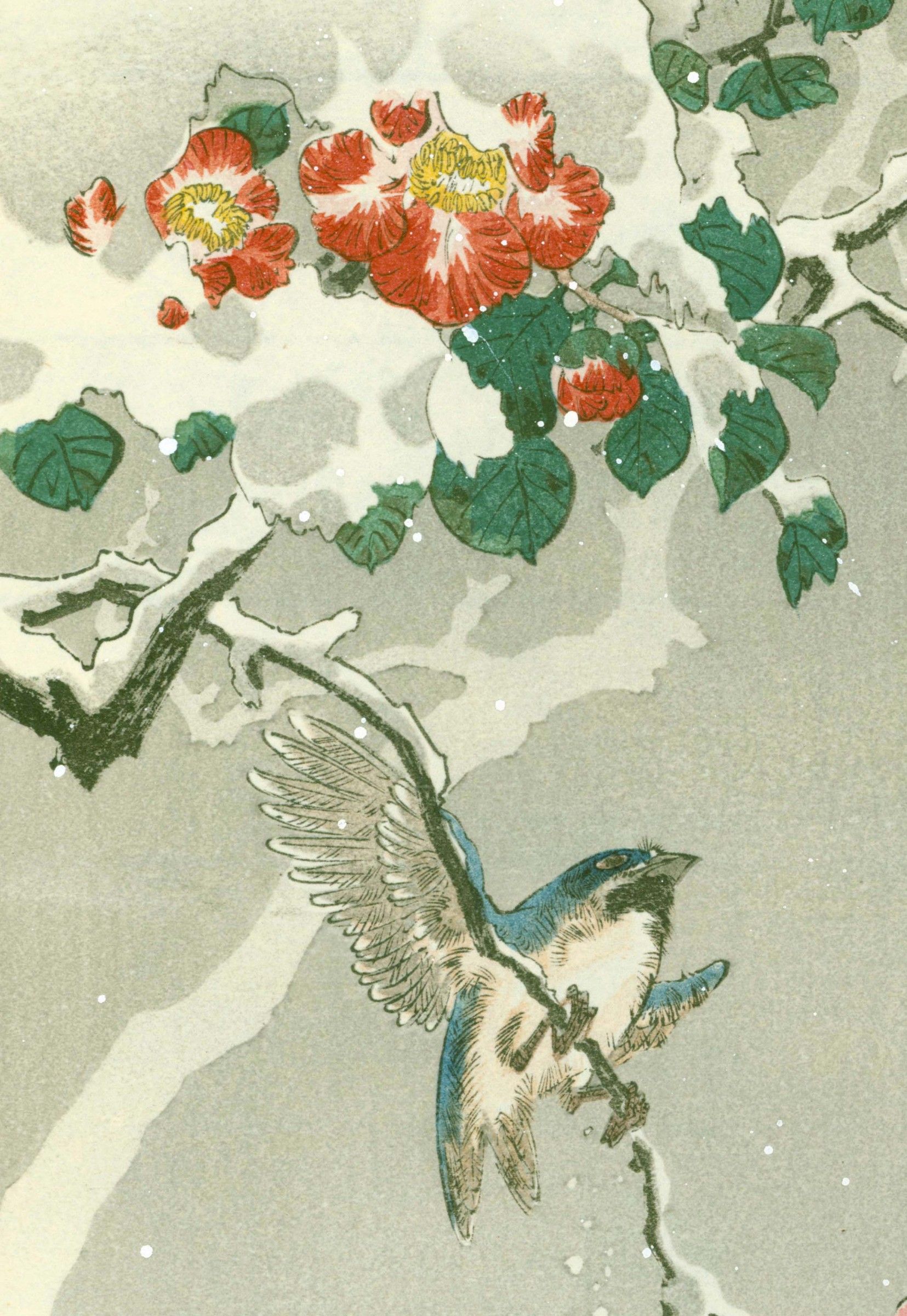 Yoshimoto Gesso Woodblock Print - Bird and Snowy Camellia SOLD