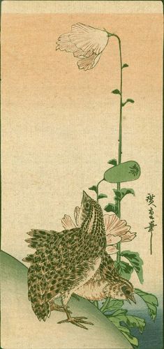 Hiroshige Japanese Woodblock Print - A Pair of Poppies and Quails