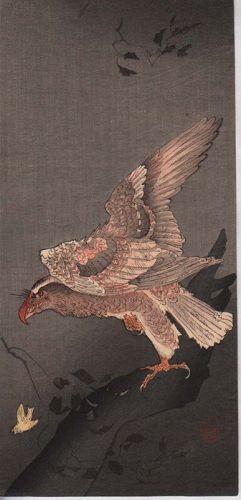 Ohara Koson Japanese Woodblock Print - Eagle Watching Small Bird