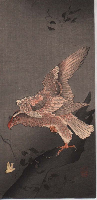 Ohara Koson Japanese Woodblock Print - Eagle Watching Small Bird