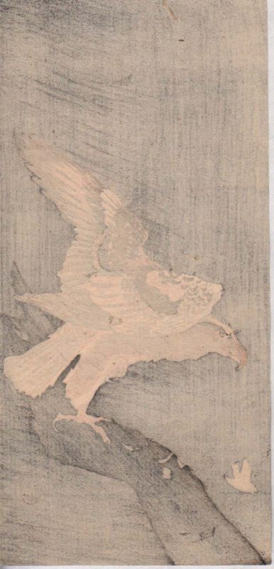 Ohara Koson Japanese Woodblock Print - Eagle Watching Small Bird