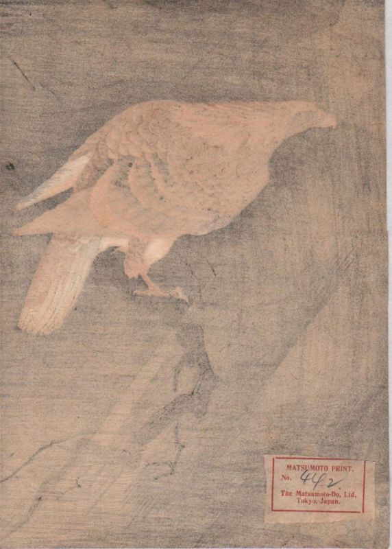 Ohara Koson Japanese Woodblock Print - Eagle on Leafless Branch