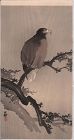 Ohara Koson Japanese Woodblock Print - Eagle on Tree