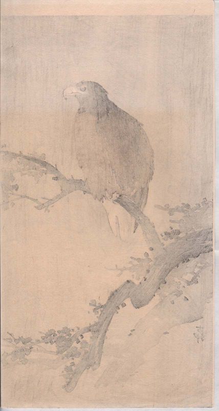 Ohara Koson Japanese Woodblock Print - Eagle on Tree