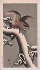 Ohara Koson Japanese Woodblock Print - Eagle on Snowy Tree Bough