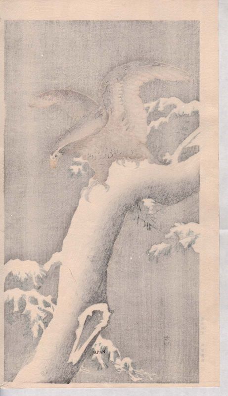 Ohara Koson Japanese Woodblock Print - Eagle on Snowy Tree Bough