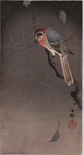 Ohara Koson Japanese Woodblock Print - Bullheaded Shrike and Spider