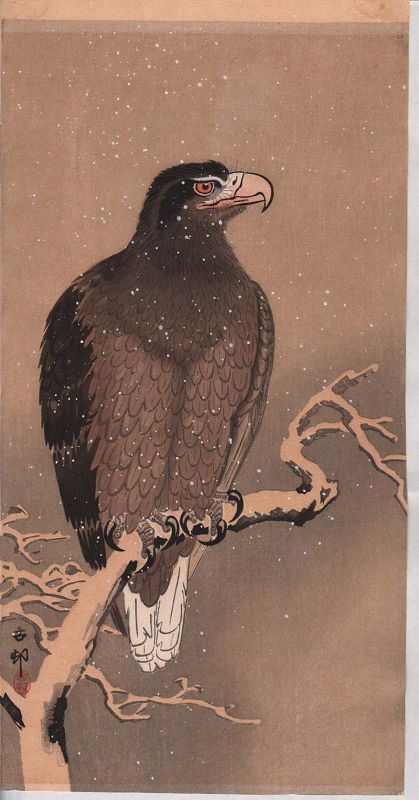 Ohara Koson Japanese Woodblock Print - Eagle on the Branch of a Tree