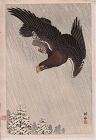 Ohara Koson (Shoson) Japanese Woodblock Print- Eagle in Flight in Snow