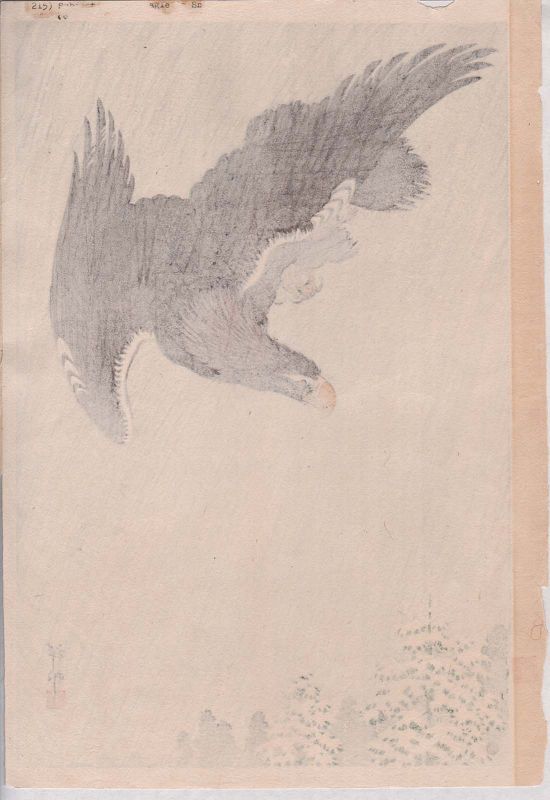 Ohara Koson (Shoson) Japanese Woodblock Print- Eagle in Flight in Snow