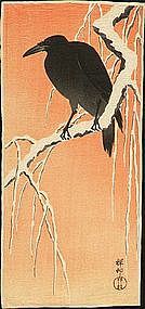 Ohara Koson Rare Japanese Woodblock Print - Crow (SOLD)