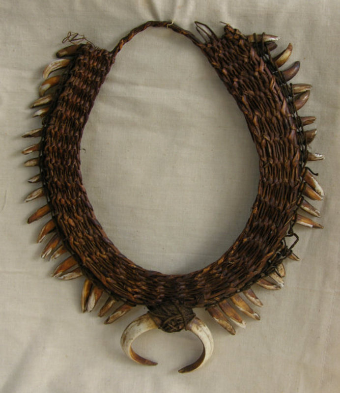 Oceanic New Guinea Papua Boar Tusk & Dog Teeth Necklace