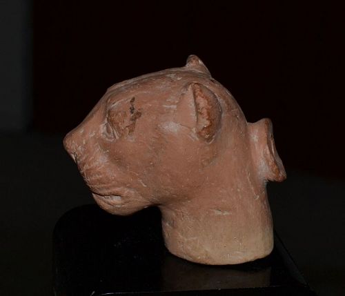 AN ANCIENT GREEK TERRACOTTA "PLASTIC" HEAD OF A FELINE