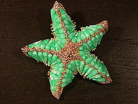 HAR STARFISH BROOCH