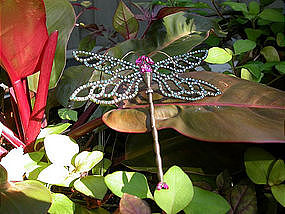 DOROTHY BAUER DRAGONFLY BROOCH