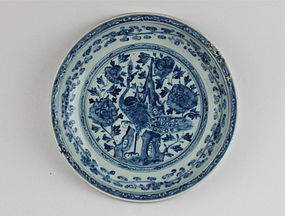 A MING DYNASTY EARLY 16th CENTURY B/W DISH WITH PEACOCK DESIGN